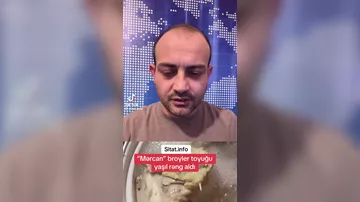Toyuq əti qaynayarkən yaşıllaşdı: “Mərcan” broylerlə bağlı iddia