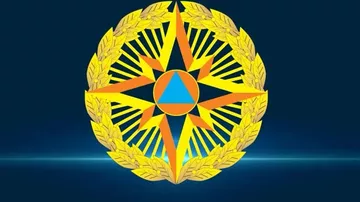 60 yaşlı qadının üzərinə ağac aşdı