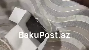 "Beta" çay paketinin içərisindən tük topası çıxıb