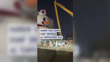 В Китае досрочно демонтировали 18-метрового снеговика
