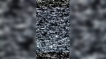 "Nyukasl"dan Bakı ilə bağlı maraqlı paylaşım