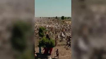 В Нигерии прошёл рыболовный фестиваль