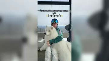 Девушка и её пес на лыжах покорили соцсети