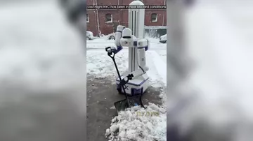 В США чистить снег вышли роботы