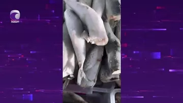 Будьте внимательны при покупке рыбы