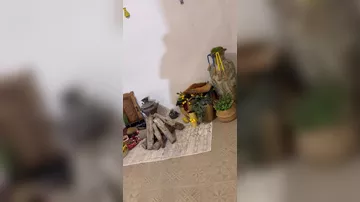 Namiq villasını nümayiş ETDİRDİ