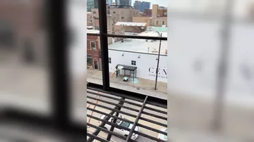 Çikaqoda kuryer-robot dayanacağın şüşələrini qırıb