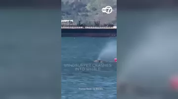 Серфингист столкнулся с китом у берегов США