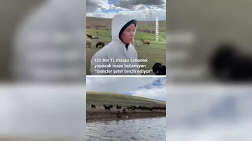 100-120 min maaşlı çoban axtarılır -  işləmək istəyən yoxdu