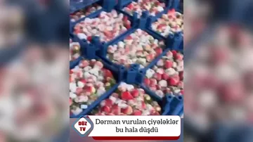 Dərman vurulan çiyələklər görün nə hala düşdü