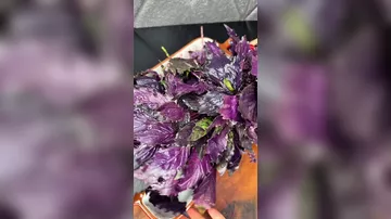 Как приготовить долму в листьях базилика