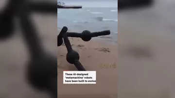 Ученые представили концепцию "метамашин"