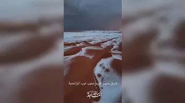 В пустыне в Саудовской Аравии выпал град