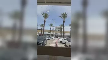 На израильский город напали пчелы