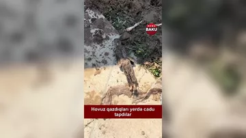 Hovuz qazırdılar, CADU TAPDILAR