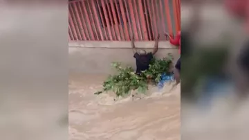 Наводнение в Анголе: много погибших и пострадавших