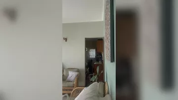 Бабуин украл фрукты из дома в ЮАР