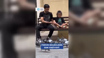 Pərviz Bülbüləyə NƏ OLUB?