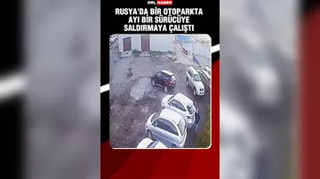 Ayı "parkovka"ya hücum etdi