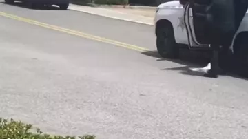 В штате Луизиана неизвестный открыл стрельбу