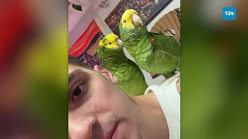 2 tutuquşu Rihannanın mahnısını özündən yaxşı OXUYUR 1