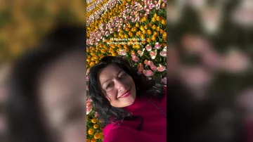 15 причин посетить Нидерланды весной