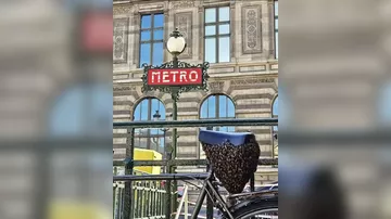 Рой пчел поселился в центре Парижа