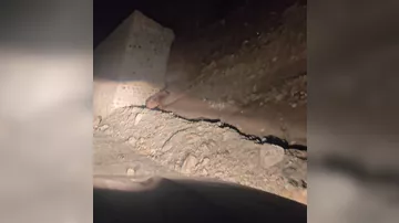 Kəlbəcər dağlarında qonur ayı görüntüləri