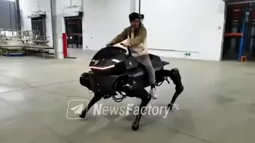 Китайская компания DAX Robotics создала робота-лошадь
