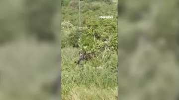 Axtarışda olan iş adamı timsahın mədəsində tapıldı
