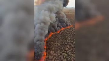 Лесные пожары распространяются в штате Аризона