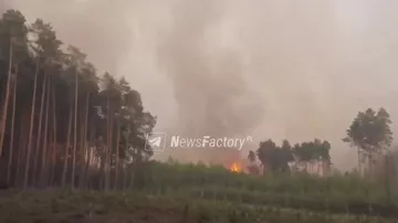 В Польше бушует лесной пожар