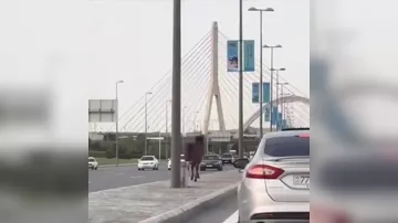 “Koroğlu”da çətin anlar yaşayan at