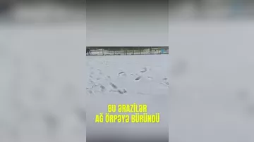 Daşkəsənə qar yağdı