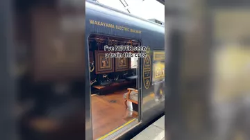 В Японии курсирует поезд для любителей кошек