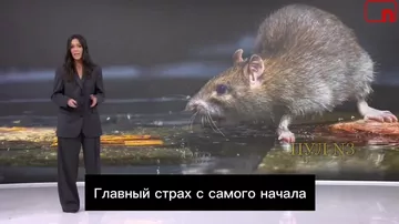 Испания бьет тревогу из-за вспышки опасного вируса