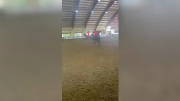 Peşəkar Cövkən Liqasının Azərbaycanda keçiriləcək dünya çempionatına hazırlıq mərhələsi davam edir