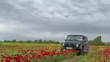 Laləlikdə maşın sürmüşdülər, polis saxladı
