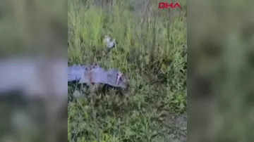 В турецком Самсуне дрон упал в жилом районе