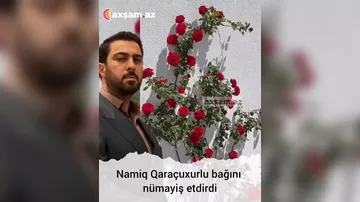 Namiq Qaraçuxurlu bağını nümayiş etdirdi