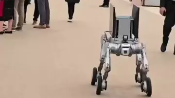WUF13 çərçivəsində təşkil olunan "Urban Expo"-da robot şou