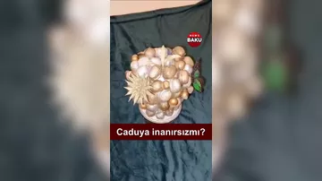 Görün cadudan nələr çıxdı