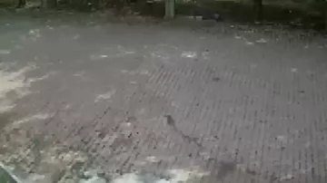 Türkiyədə baş verən zəlzələnin görüntüləri - 1