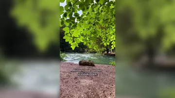 Необычный парк в немецком городе