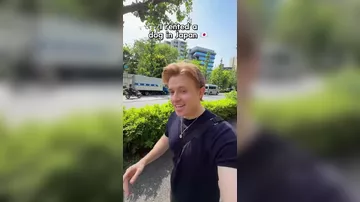 В Японии появились сервисы по аренде питомцев