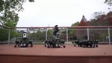 Тайвань показал боевых робособак