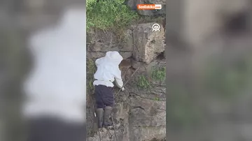 Qoyun otaran çoban qayalıqda xəzinə tapıb