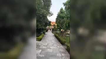 Два носорога устроили драку в центре города в Непале