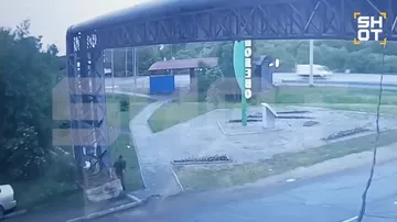 Медведь набросился на мужчину во дворе дома в Хабаровском крае