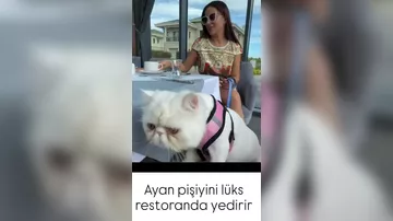 Ayan pişiyini lüks restoranda yedirir